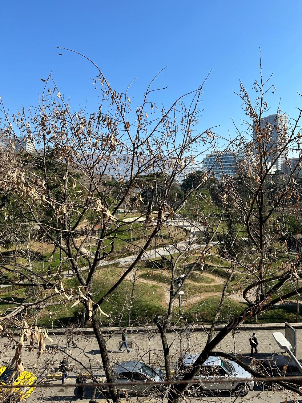 Kelly'S Cozy Hideaway - Central 地拉那 外观 照片